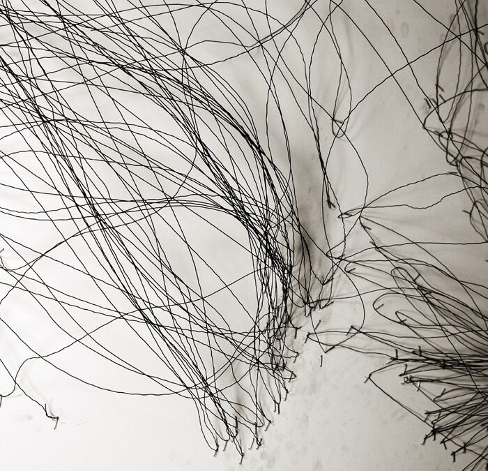 e_7 Körper Bewegung Zeichnung